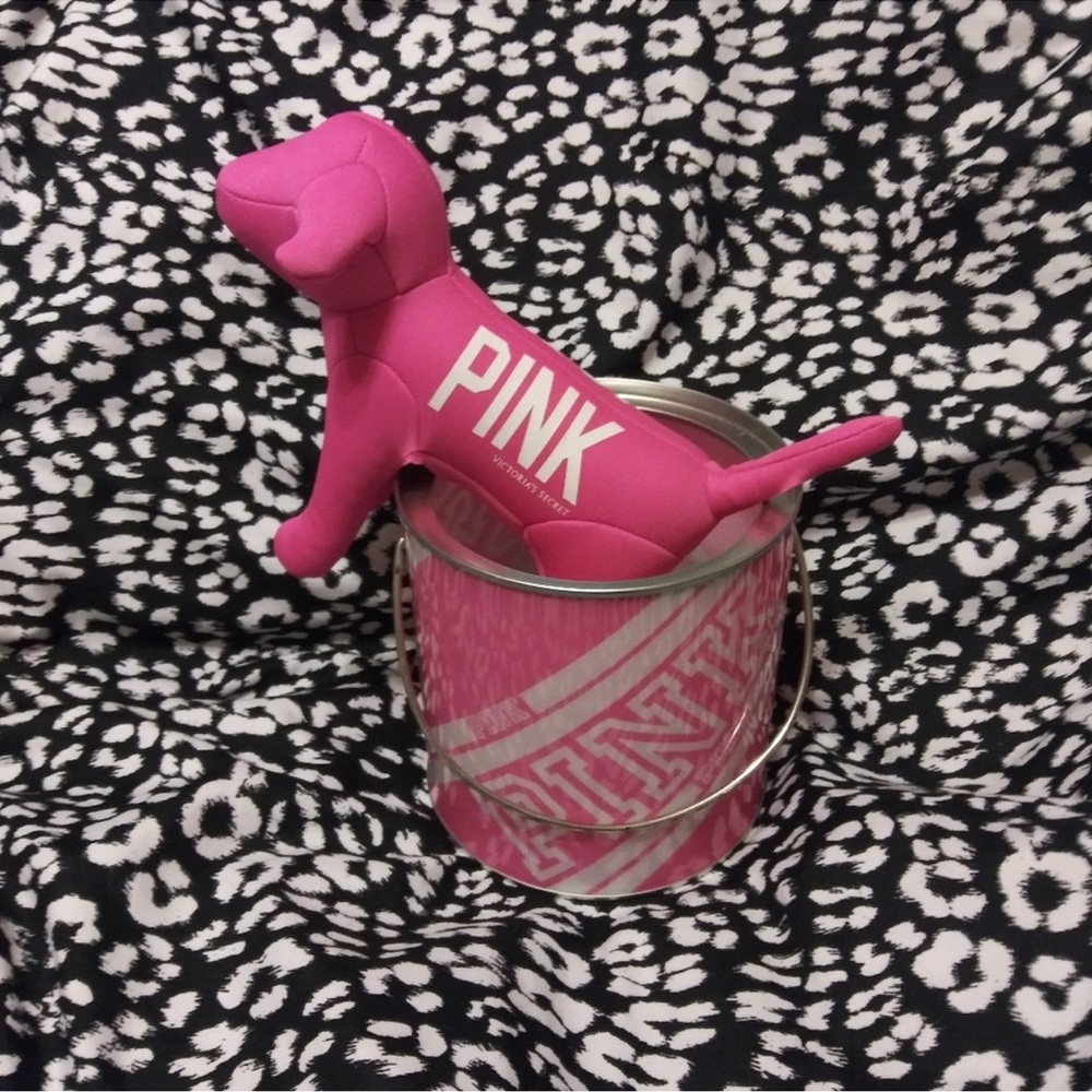PINk VS bucket